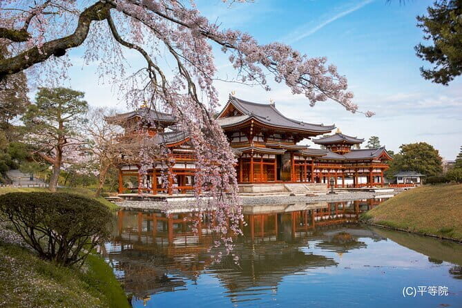 Matcha Grinding Experience and Walking Tour in Uji Kyoto - Who Would Love This Tour?