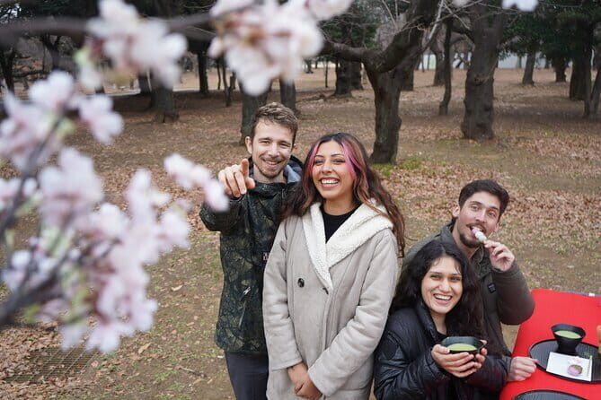 Matcha Picnic in Tokyo  A Unique Cultural Outdoor Experience - Practical Tips for Participants