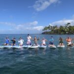 Maui: Beginner Level Private Stand-Up Paddleboard Lesson - Who Should Consider This Tour