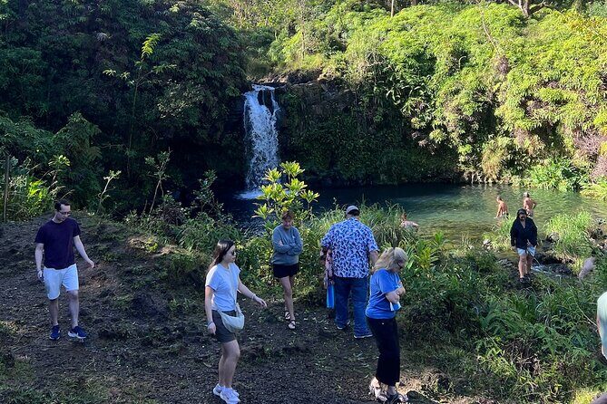 Mauis Sea Turtles, Waterfalls and Road to Hana Adventure - Waterfalls, Wildlife, and Authentic Moments