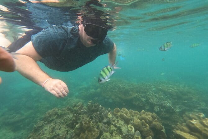 Maya Bay Phi Phi Island Snorkeling Day Tour with lunch - Phuket - The Practical Stuff: What’s Included and What to Know