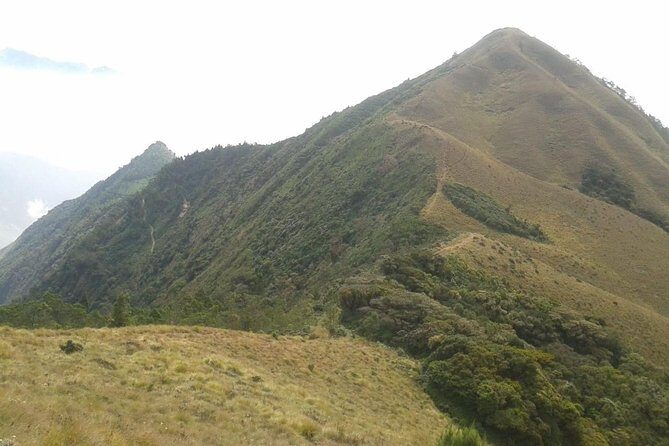 Meesapulimala Sunrise trek( By Munnar Info) - The Value of the Experience