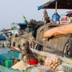 Mekong day tour Visit Cai Rang Floating Market pick up in Sai Gon - Who Would Love This Tour?