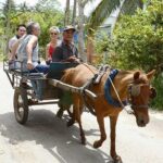 Mekong Delta Day Tour from Ho Chi Minh City - The Full Day in Detail: What to Expect