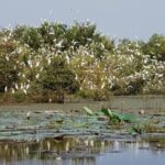 Mekong Delta Tours 3days - CaiBe Vinh Long ChauDoc CanTho - Authentic Encounters and Insider Tips from Reviewers
