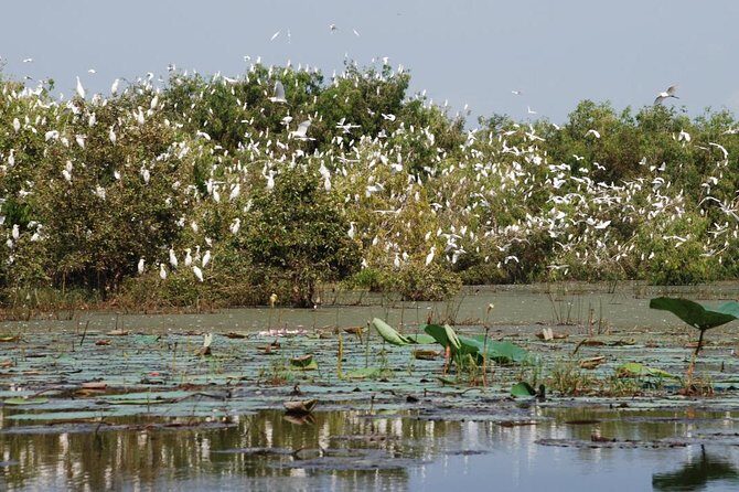 Mekong Delta Tours 3days - CaiBe Vinh Long ChauDoc CanTho - Authentic Encounters and Insider Tips from Reviewers
