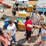 Mekong Wheels & Waters: Scooter, Sailboat, and Savory Food - Practical Considerations and Tips