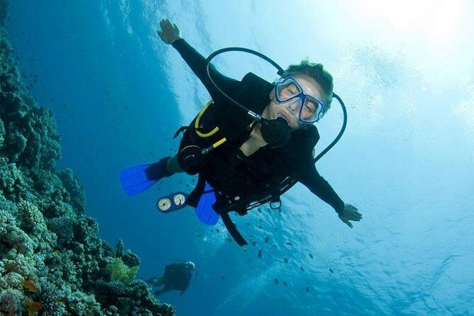 Menjangan Island Bali Diving Activity - The Practical Side: Pricing, Duration, and Logistics