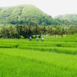 Menoreh Village Cycling - Nanggulan - The Scenic Ride and Village Encounters