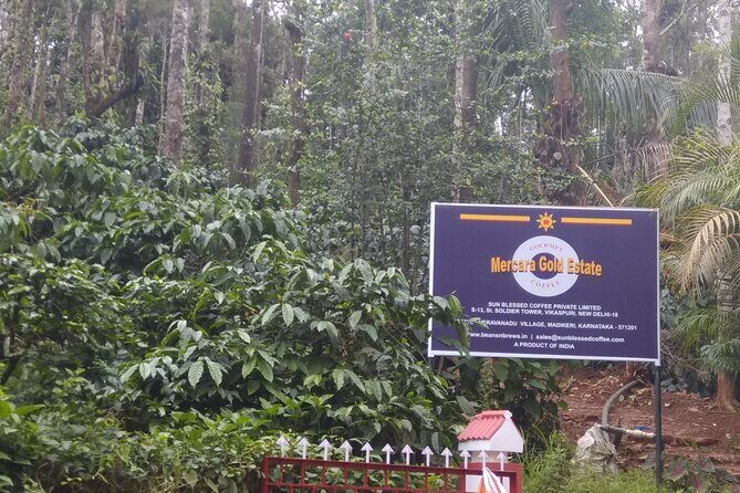 Mercara Gold Coorg Coffee and Spice Estate Tour - The Value Proposition