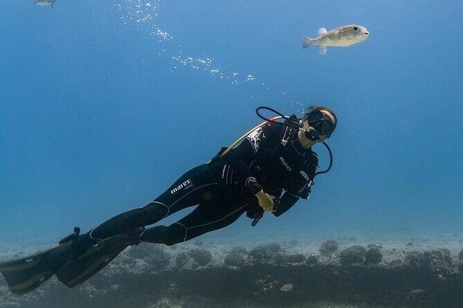 Mesmerizing Private SCUBA Diving Charter in Paradise from Waikiki - Final Thoughts: Is It Worth It?