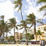 Miami City Tour and Biscayne Bay Cruise with Hotel Transportation - Practical Considerations
