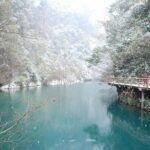 Mini Group Day Tour to Zhangjiajie Forest Park & Avatar Mountains - Why This Tour Offers Great Value