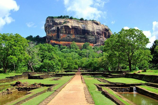 Minneriya Elephant Safari wth Sigiriya Lion Rock from Colombo - Who Should Book This Tour?
