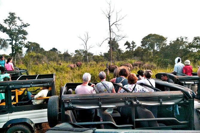 Minneriya / Kaudulla National Park Jeep Safari - Who Should Consider This Tour?