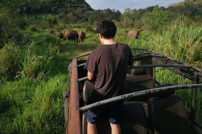 Minneriya National Park Half day Jeep Safari with Hotel Pickup - Practical Details for Planning Your Safari