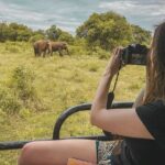 Mirissa to Ella Shuttle & Safari Drive (Breakfast included) - The Realistic Take