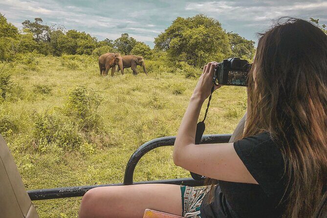 Mirissa to Ella Shuttle & Safari Drive (Breakfast included) - The Realistic Take