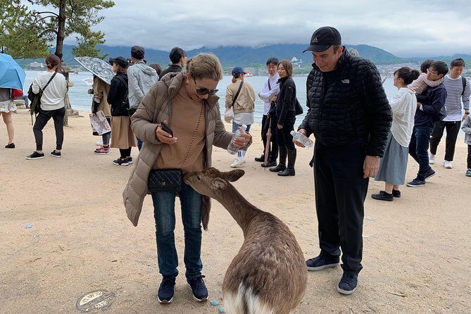 Miyajima Half-day Private Tour with Government Licensed Guide - A Detailed Look at the Itinerary