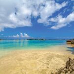 [Miyako Island / Half Day] Sea Turtle Snorkeling - FAQs
