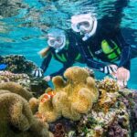Miyakojima / Snorkel tour to enjoy coral and fish - Who Is This Tour Perfect For?