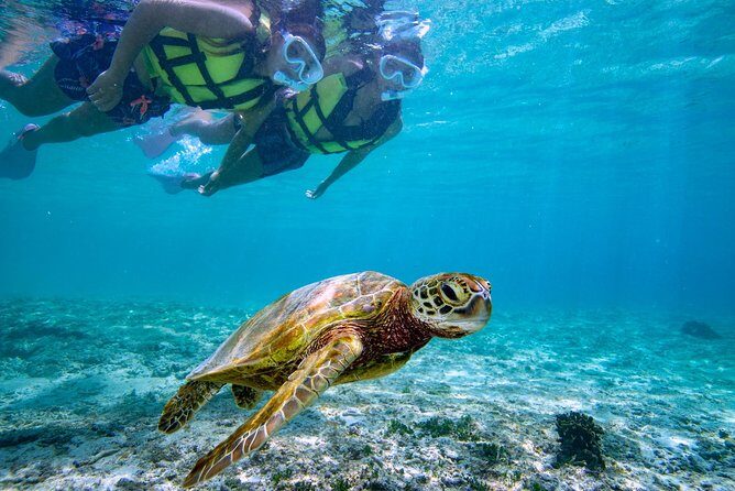 Miyakojima / Snorkel tour to swim with sea turtles - The Sum Up