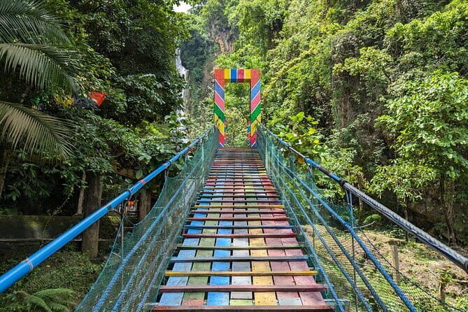 Moalboal Sardine Run, Sea Turtle and Mantayupan Falls - Why This Tour Works for You