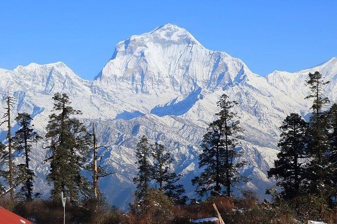 Mohare Danda Trek - The Full Experience: A Detailed Breakdown