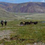 Mongolia Trekking Tour in the Altai Tavan Bogd National Park - The Sum Up