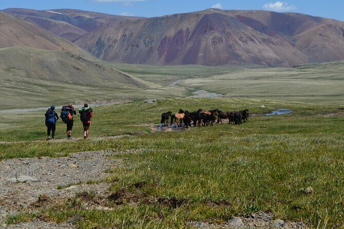 Mongolia Trekking Tour in the Altai Tavan Bogd National Park - The Sum Up