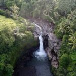 Monkey Forest Ubud Half day Tour - Genuine Traveler Experiences & Insights