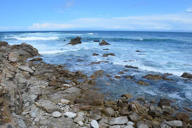 Monterey 1-Day Tour - The Itinerary in Detail: What to Expect