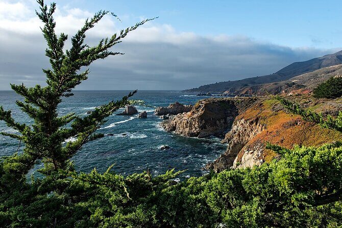 Monterey, Carmel, 17 Mile Drive, Bixby Bridge 5 hrs from Monterey - Who Should Consider This Tour?