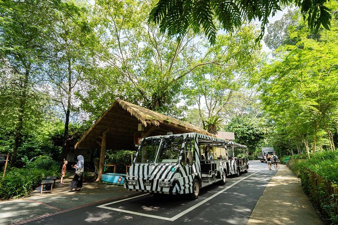 Morning at the Zoo with 1-way Transfer (Free & Easy) - What the Itinerary Looks Like