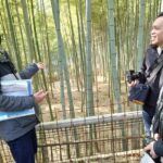 Morning E-bike Tour of Fushimi-Inari, Gion, Nanzen-ji, Kamo River - Who Is This Tour Best Suited For?