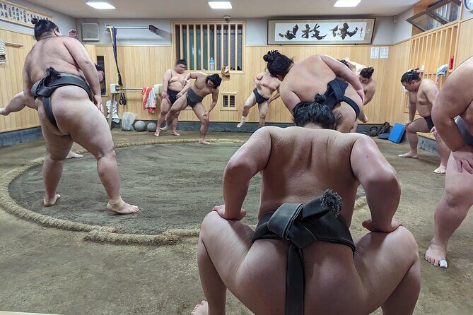 Morning Sumo Practice Viewing in Tokyo - Who Should Book This Tour?