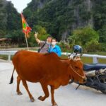 Motorbike Rental Ninh Binh - Who Would Love This?
