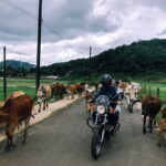 Motorbike tour from Dalat to Muine 2 days trip - What’s Included and What You Should Budget for