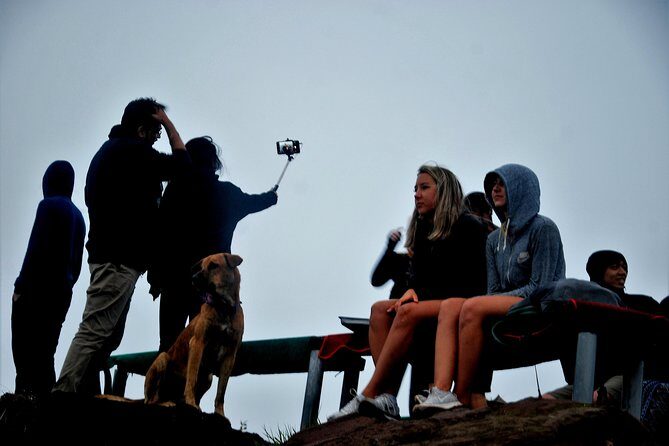 Mount Batur Sunrise Trekking - Authentic Insights from Reviews