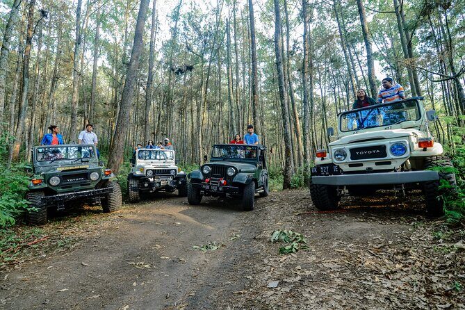 Mount Batur Trekking by 4wd Jeep - A Detailed Look at the Mount Batur Trekking by 4WD Jeep Tour