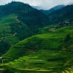 Mount Fansipan Hike 1 Day The Roof Of Indochina - In-Depth Look at the Mount Fansipan Hike