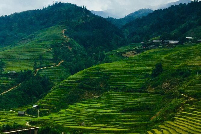 Mount Fansipan Hike 1 Day The Roof Of Indochina - In-Depth Look at the Mount Fansipan Hike