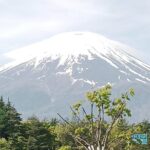 Mount Fuji Escape: A Private Tour - What Makes This Tour Stand Out?