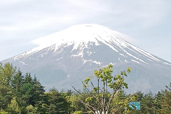 Mount Fuji Escape: A Private Tour - What Makes This Tour Stand Out?