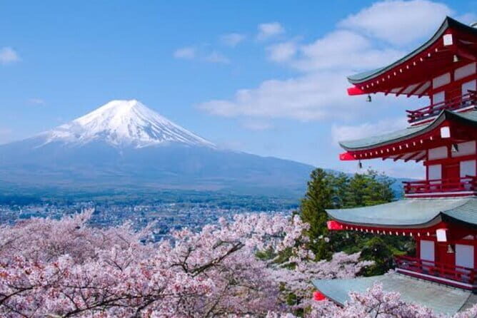 Mount Fuji Full Day Customizable Private Tour with English Guide - FAQ