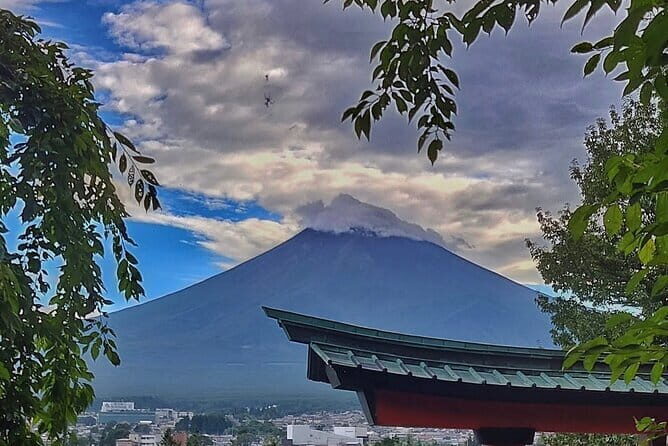Mount Fuji Full Day Private Tour with English Speaking Driver - The Experience: What Travelers Can Expect