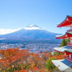 Mount Fuji Full Day Sightseeing Tour from Tokyo - Transportation & Group Experience