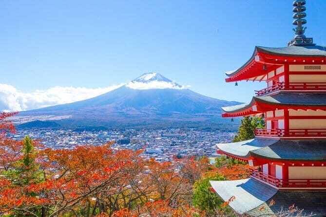 Mount Fuji Full Day Sightseeing Tour from Tokyo - Transportation & Group Experience