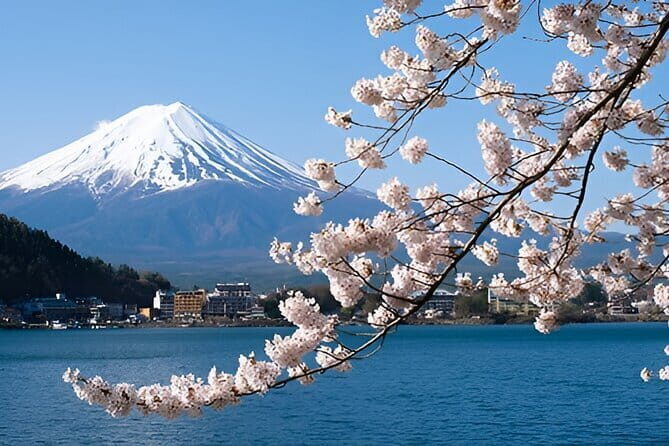 Mount Fuji & Lake Kawaguchiko Private Tour: Beyond the Ordinary - The Value of This Tour