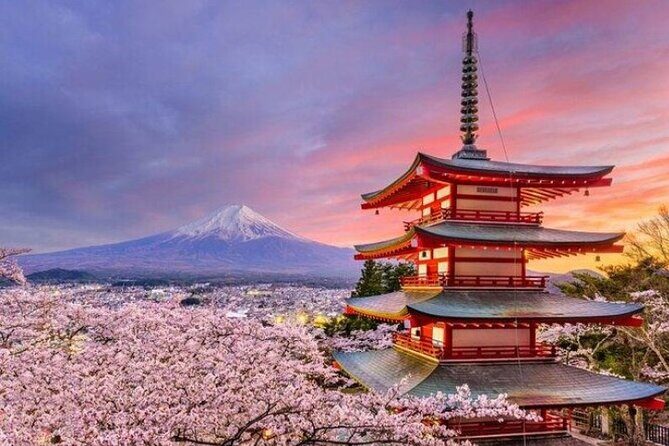 Mount Fuji (Mt. fuji) private tour by car with pickup from Tokyo - Who This Tour Is Perfect For